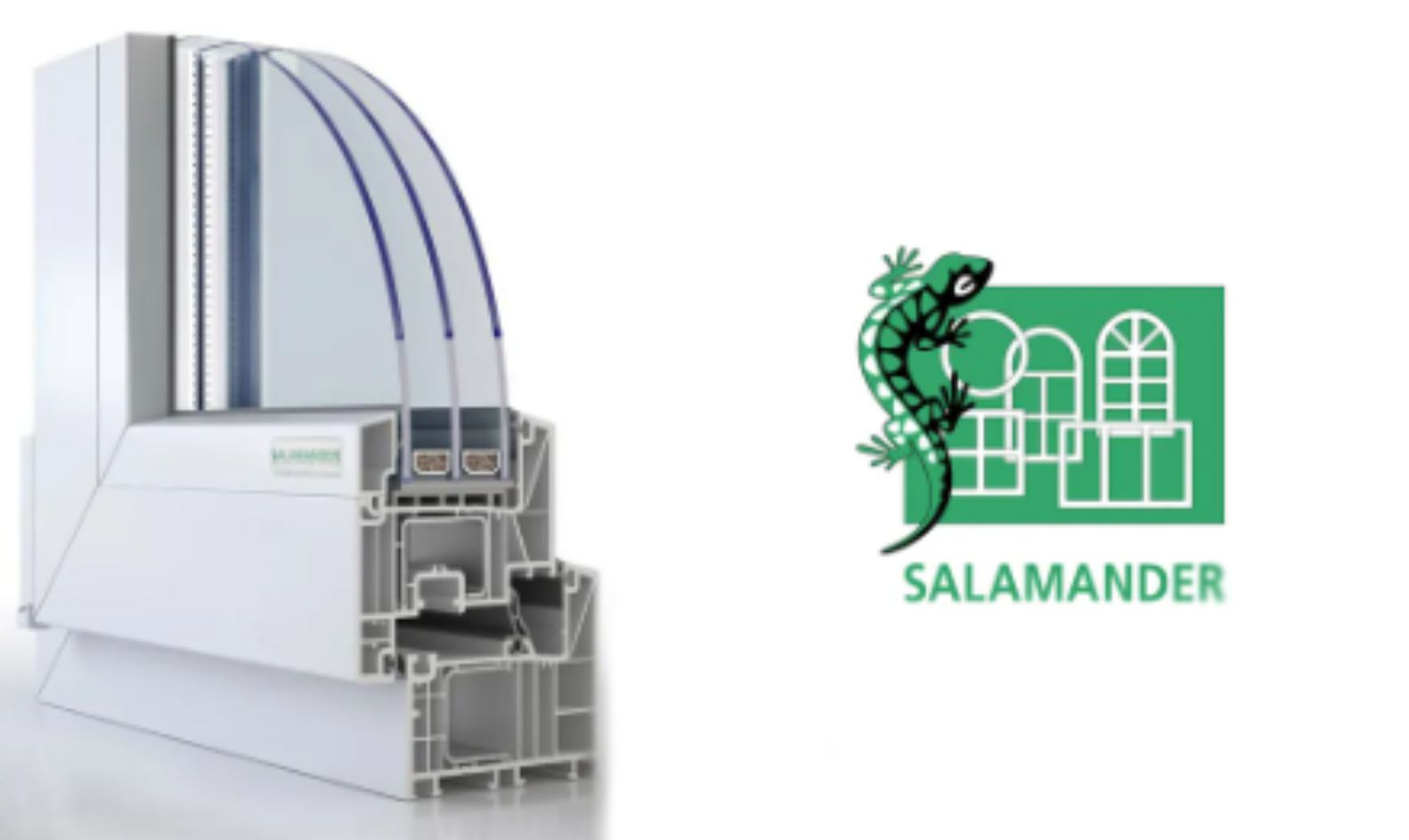Salamander